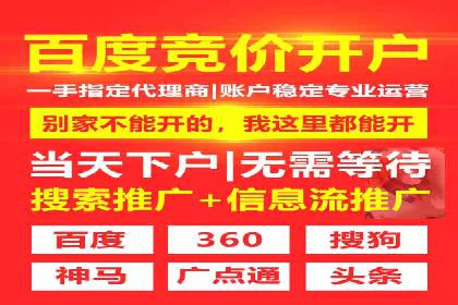 精准投放，高效转化——SEM竞价优化案例集